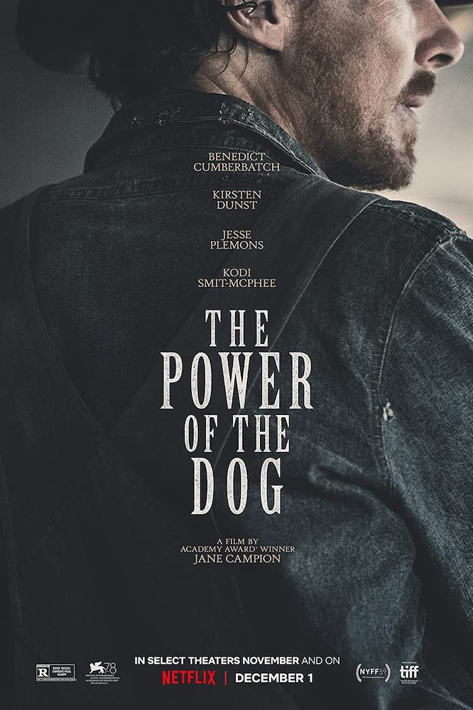 Netflix poster The Power of the Dog